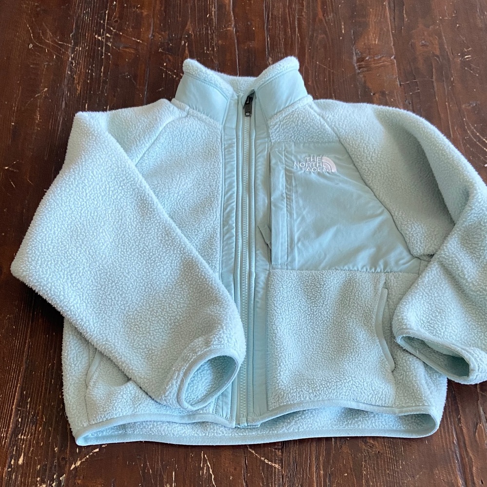 The North Face Sky Blue Fleece Jacket